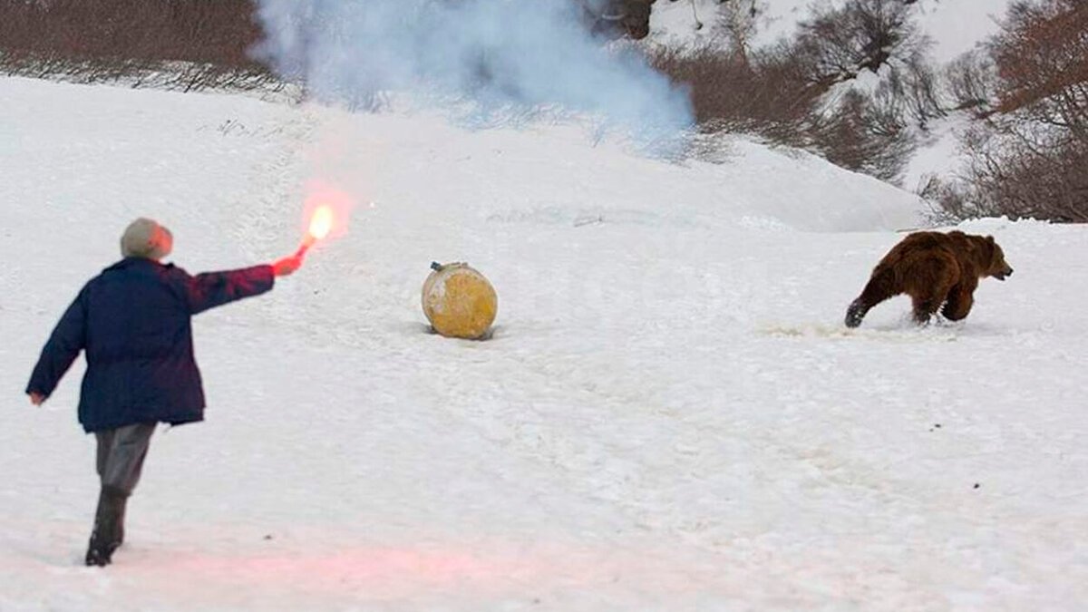 фальшфейер против медведя.jpeg